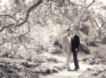 presquile-winery-wedding-0011