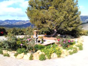 circular fountain
