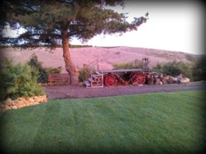 grass space for events