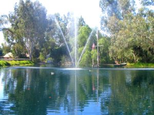 wedding venue