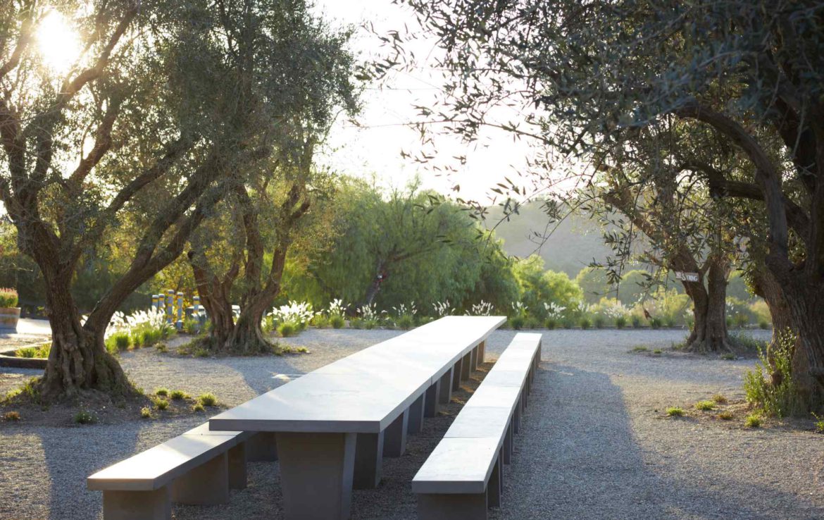 picnic area