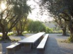 koehler winery