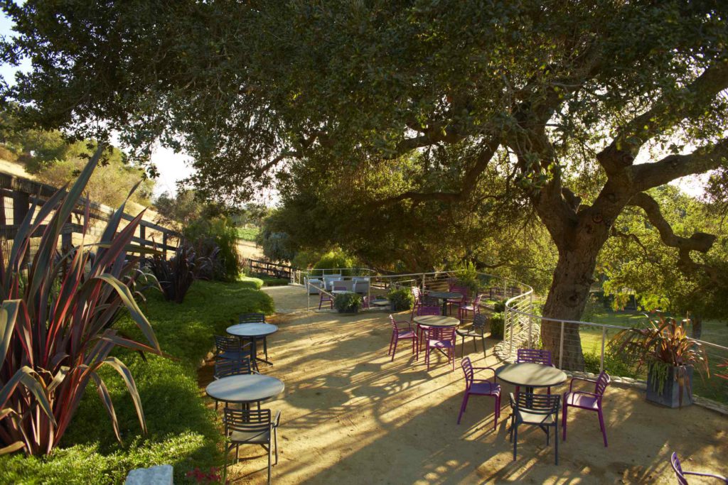 Koehler Estate Winery photo 5