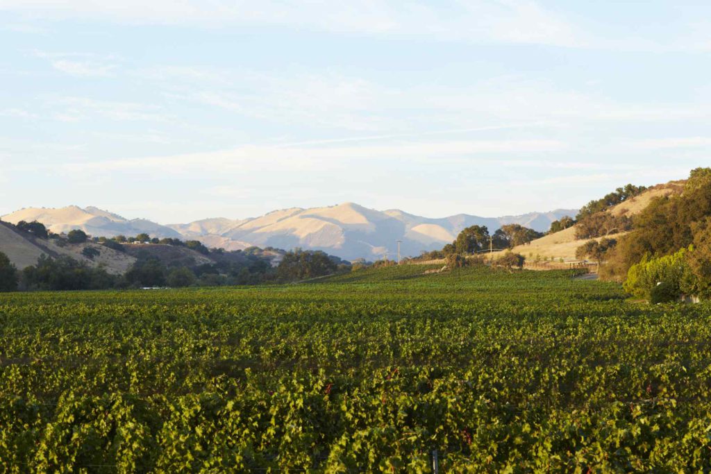 Koehler Estate Winery photo 6
