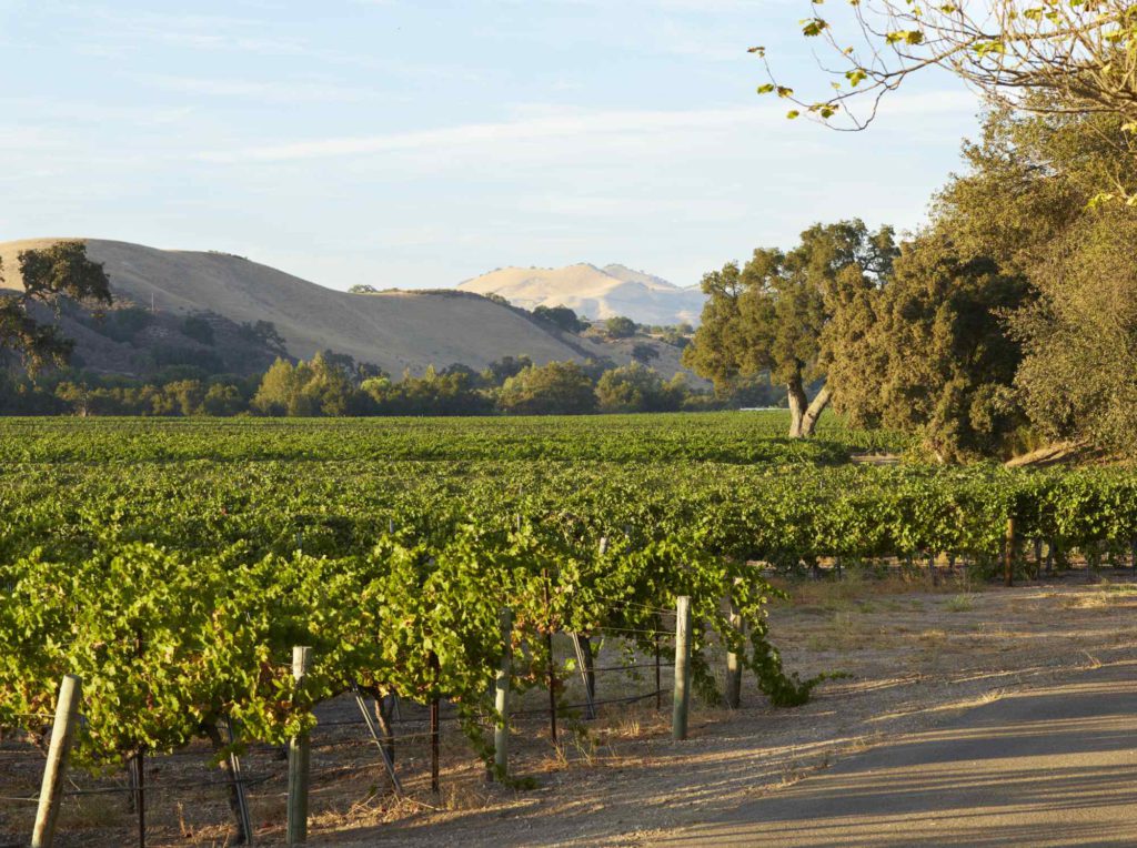 Koehler Estate Winery photo 2