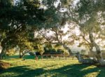 sbv_cebadawinery_michaelcostaphotography