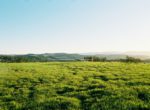 sbv_cebadawinery_michaelcostaphotography (16)