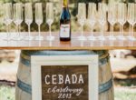 sbv_cebadawinery_michaelcostaphotography (17)