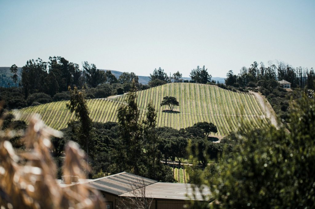 Cebada Winery photo 2