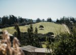 sbv_cebadawinery_michaelcostaphotography (19)