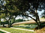 sbv_cebadawinery_michaelcostaphotography (3)