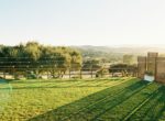 sbv_cebadawinery_michaelcostaphotography (6)