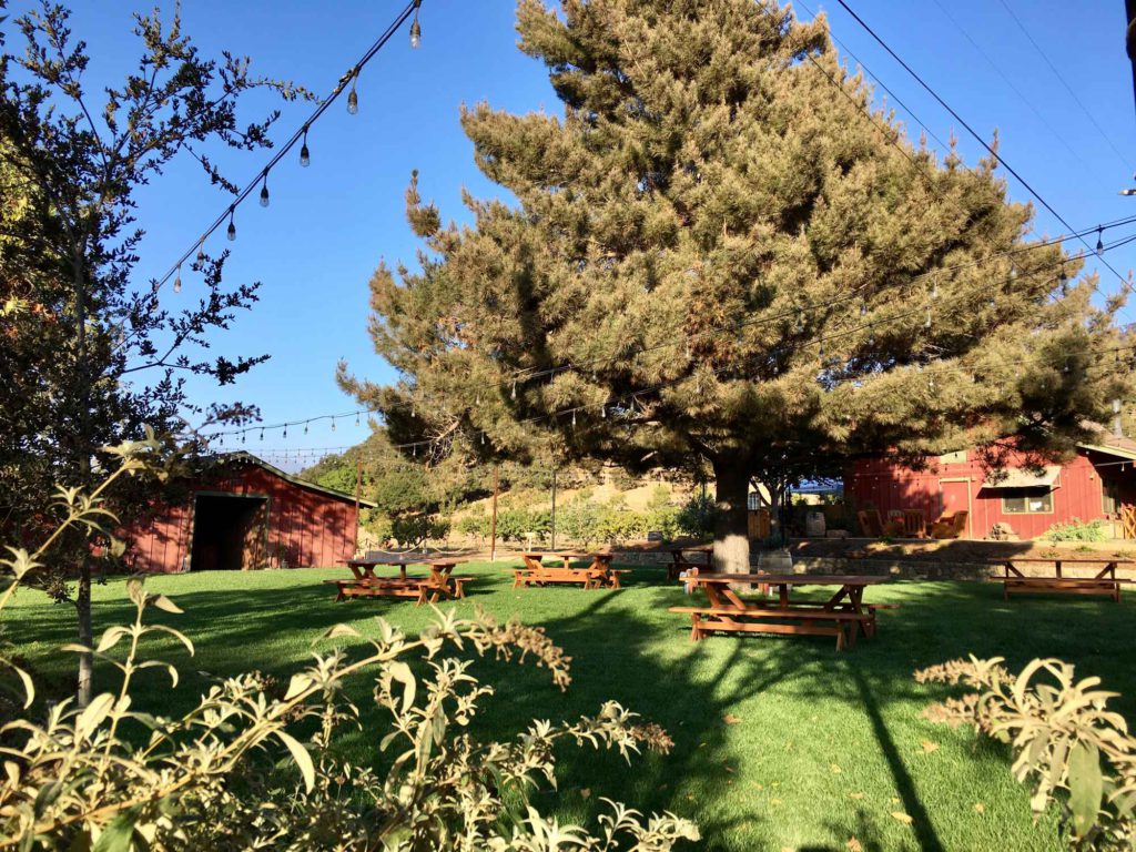 Old Creek Ranch Winery photo 5