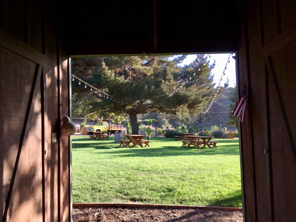 Old Creek Ranch Winery photo 6