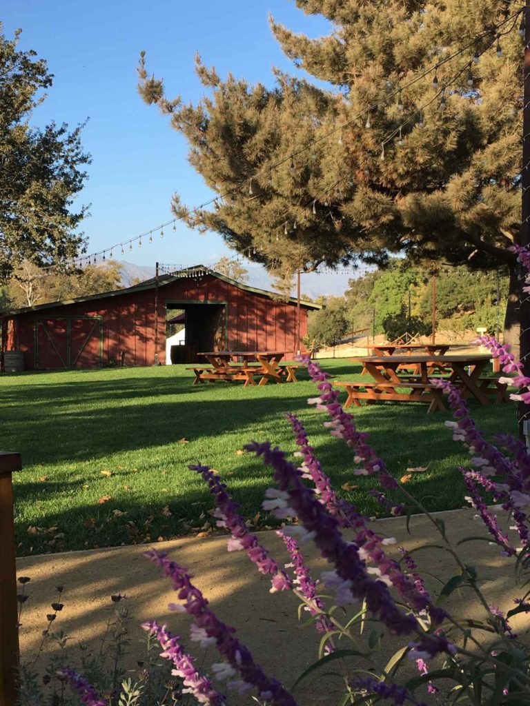 Old Creek Ranch Winery