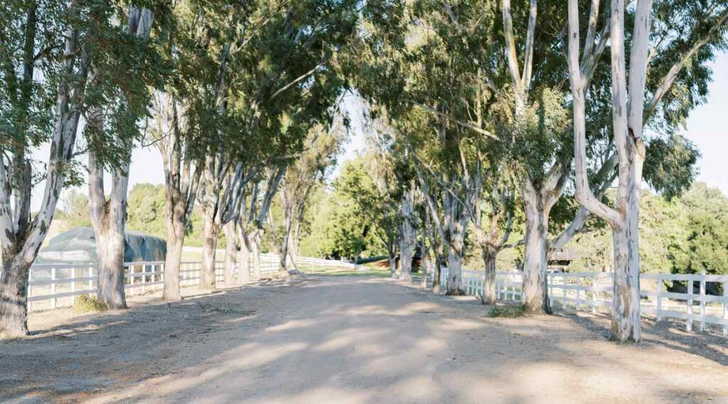San Marcos Ranch photo 2